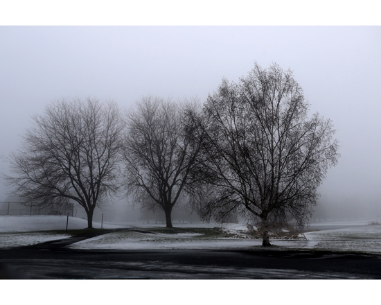 Snow Fog Snow Fog